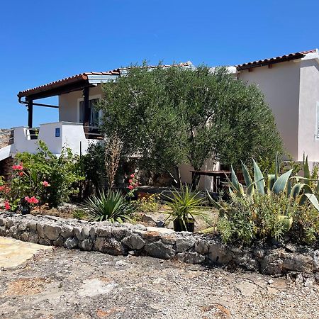 Holiday House Rusticana Sali, Dugi Otok Near Np Kornati Eksteriør billede